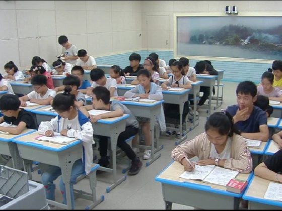 课堂行为识别示例